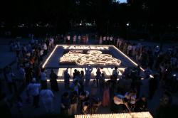 1 (28)